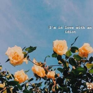 Meet your Posher, Sen-lee